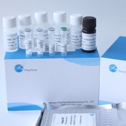 O Fsc certificou Elisa Kit Human Ifnw 1 interferona Omega-1