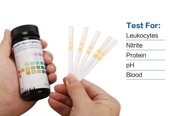 Teste Kit At Home de Uti das tiras de teste da urinálise dos homens das mulheres