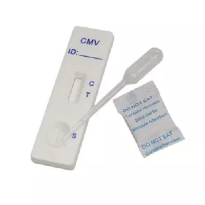 Um teste rápido do ouro coloidal diagnóstico da etapa para o anticorpo de Igm ao Cytomegalovirus