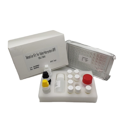 Alpha Fetoprotein Elisa Detection Kit quantitativa AFP no soro humano