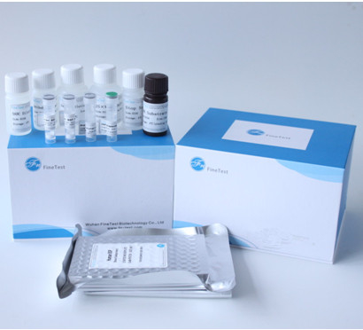 Angiotensin I que converte a enzima ACE Elisa Test Kit INVBIO