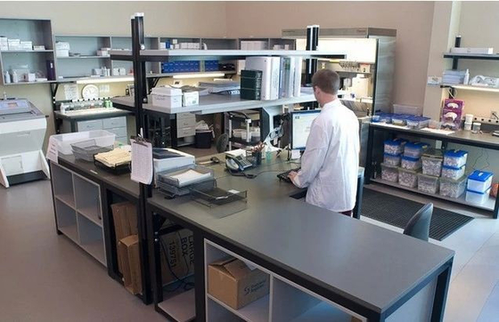 Fator de crescimento Placental Elisa Test Kit de PLGF